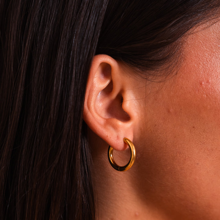 Gold-Plated Earrings